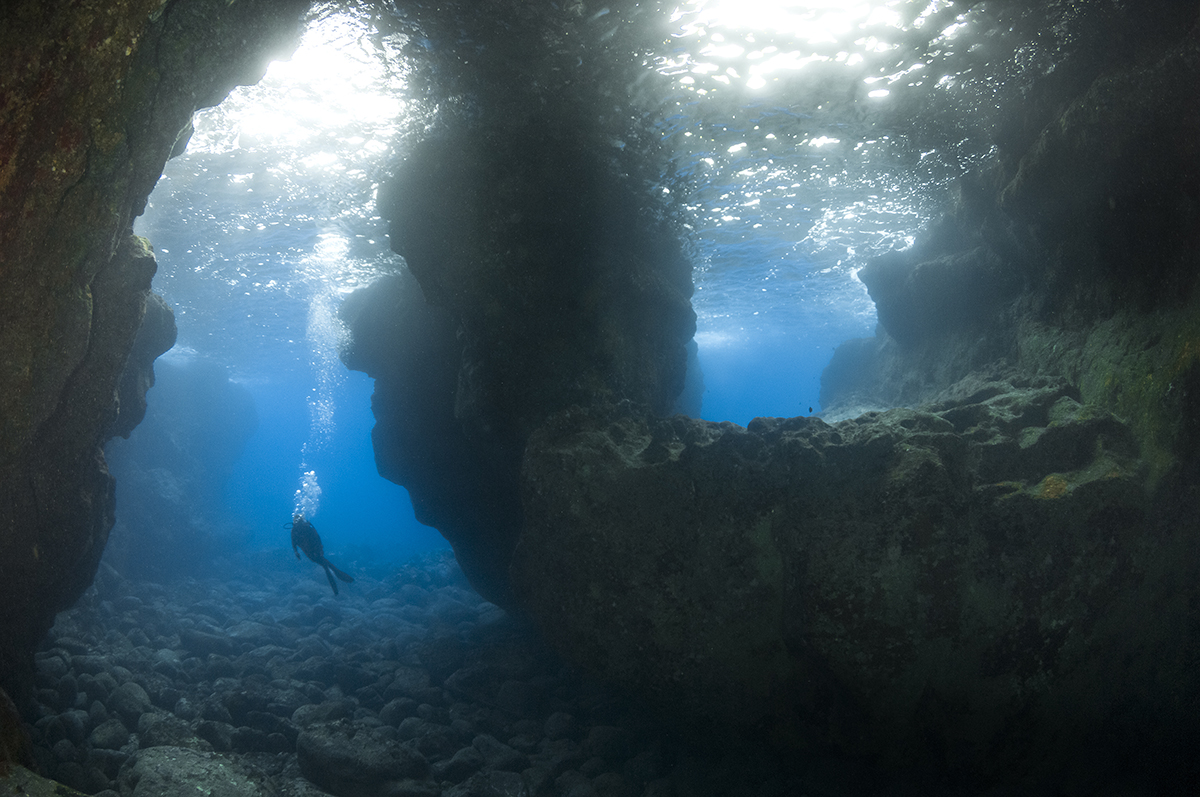 called Bob's Reef off the Kona Coast of Hawaii's Big Island.