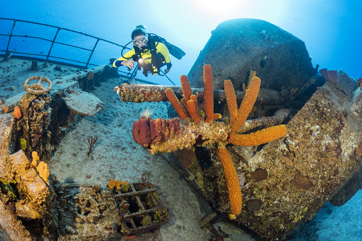 The MV Capt. Keith Tibbetts Wreck, formally known as the Russian Frigate (#356)
330-foot vessel that was sunk in September 1996 on Cayman Brac’s north side. With the bow resting on its port side in 85 feet of water and stern (still upright) in 60 feet, the wreck is the Brac’s most coveted dive site.