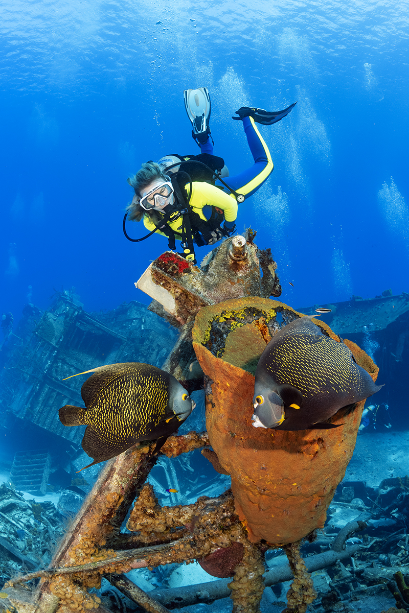 The MV Capt. Keith Tibbetts Wreck, formally known as the Russian Frigate (#356)
330-foot vessel that was sunk in September 1996 on Cayman Brac’s north side. With the bow resting on its port side in 85 feet of water and stern (still upright) in 60 feet, the wreck is the Brac’s most coveted dive site.