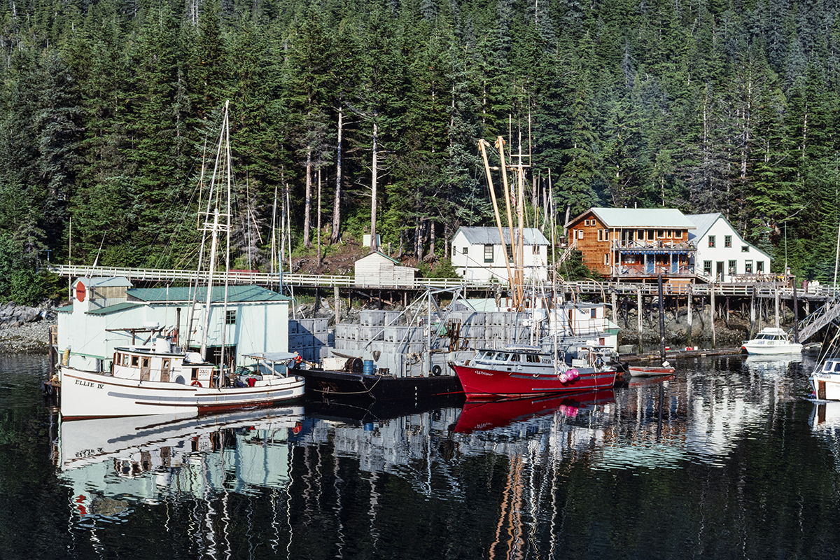 Elfin Cove, Southeast Alaska