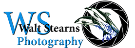 Logo for Walt Stearns Photography