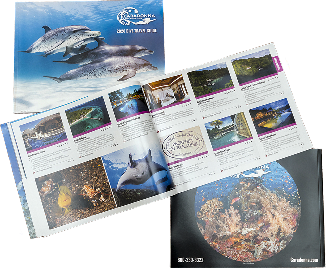 Caradonna Dive Adventures 2020 Travel Guide is one of three such 100 plus dive travel catalogs designed, layout to press ready for Caradonna.