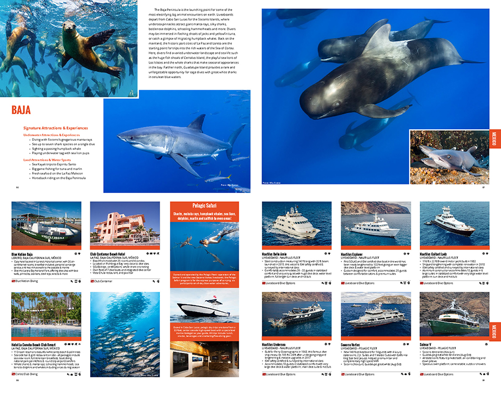 Caradonna Dive Adventures 104 page 2020 Travel Guide 