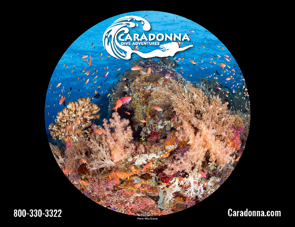 Rear cover shot on Caradonna Dive Adventures 104 page 2020 Travel Guide shot by Walt Stearns