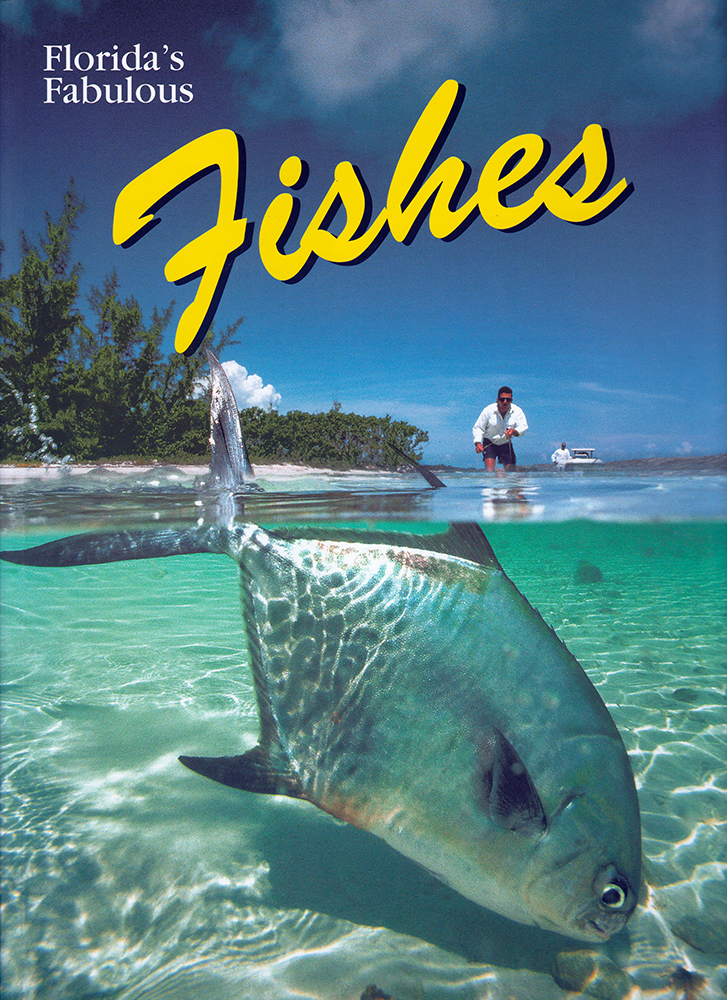 Florida's Fabulous Fishes - Fish Identification book published 2002