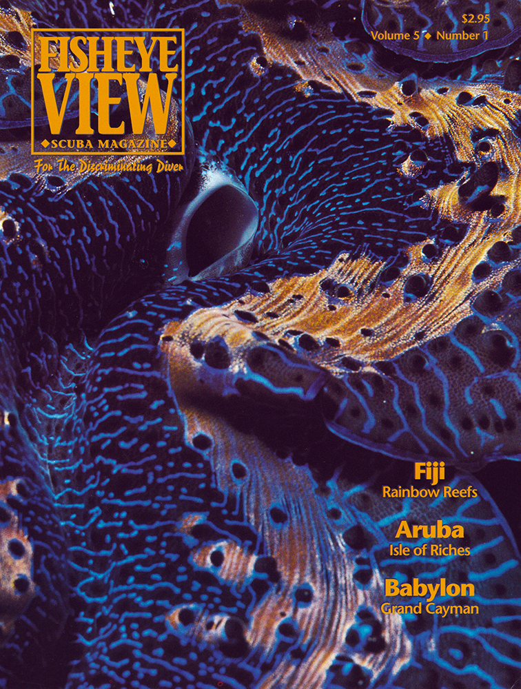 Fisheye View dive magazine 1992