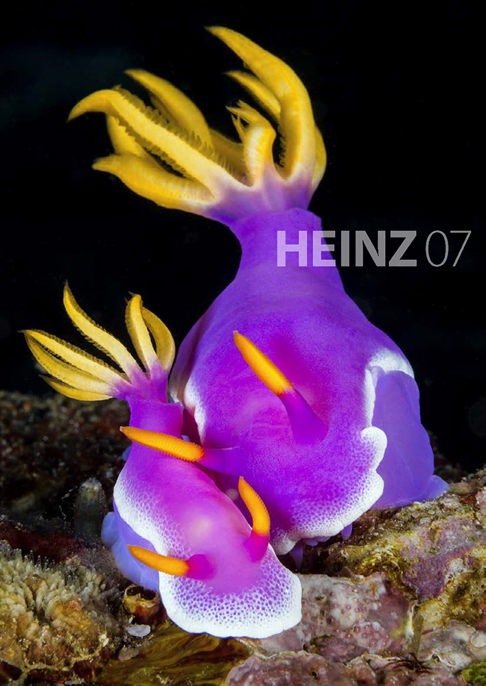 HEINZ dive magazine, July 2018