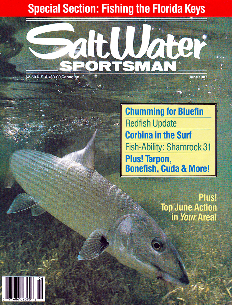 SaltWater Sportsman June 1987