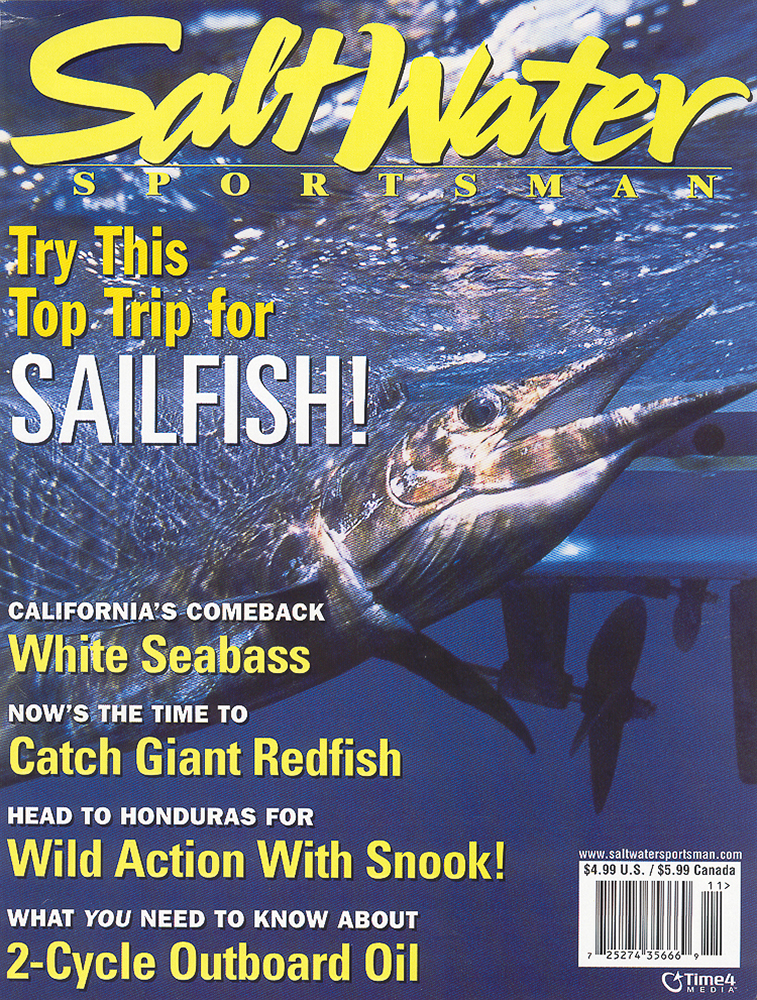 SaltWater Sportsman magazine, Nov 2001