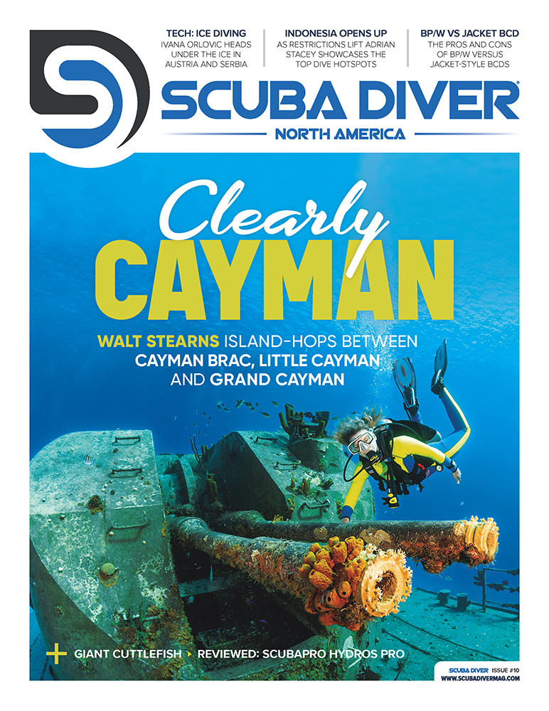 Scuba Diver US #10, June 2022