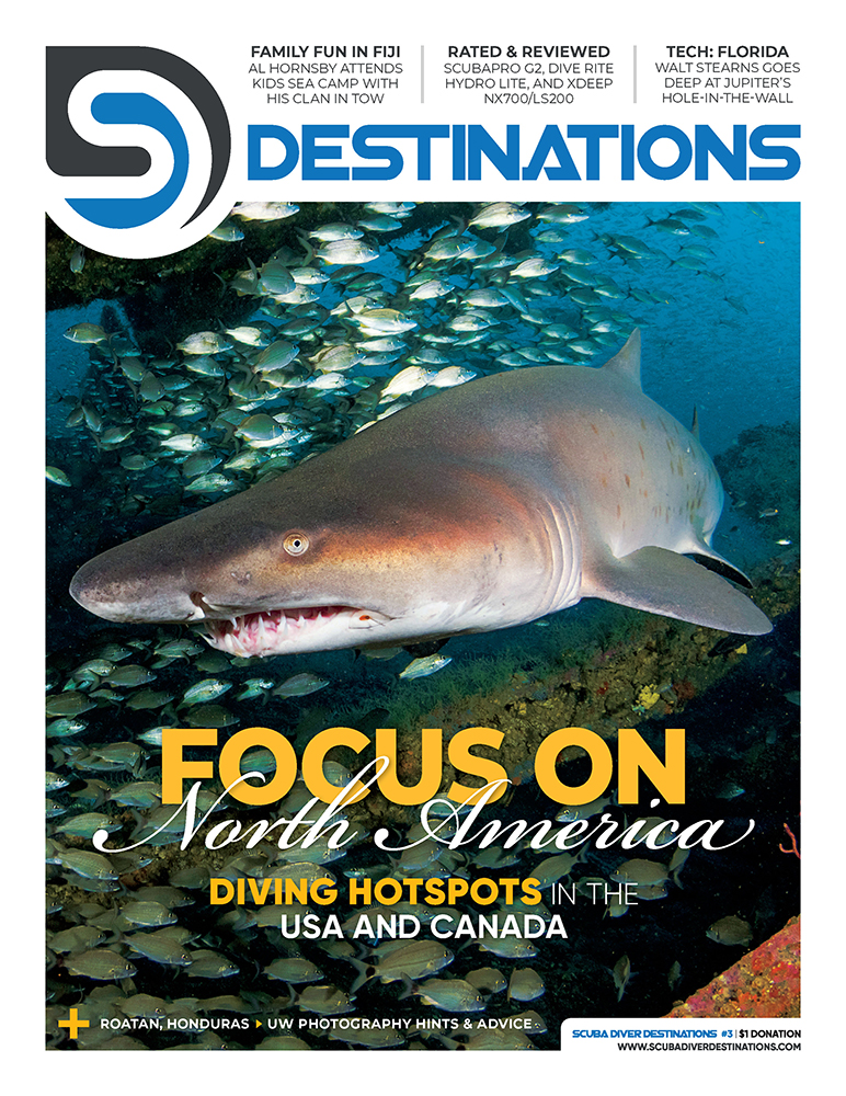 Scuba Diver magazine US #3, July 2020