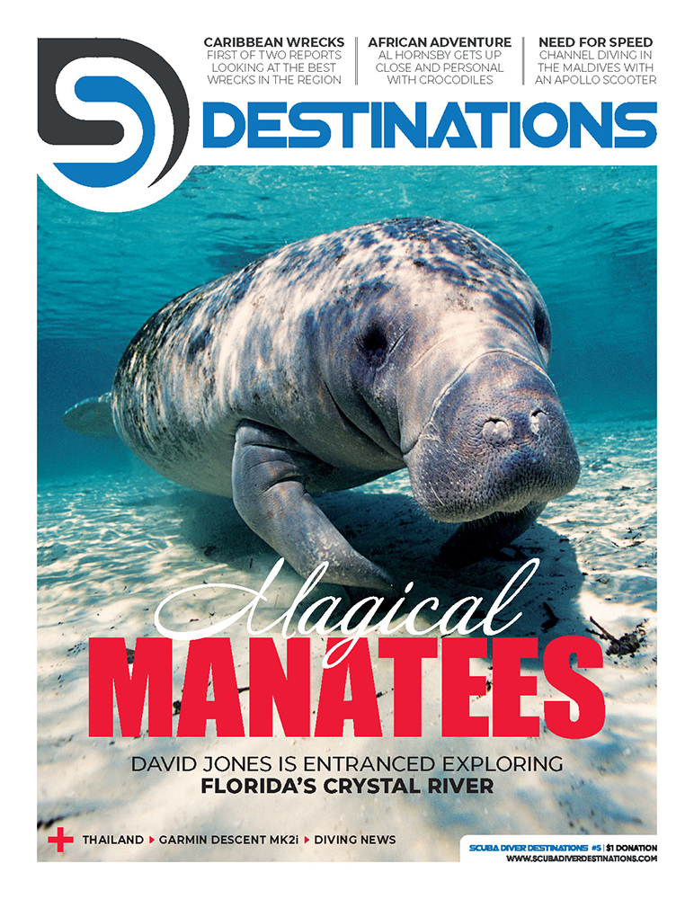 Scuba Diver magazine US #5, Feb 2021