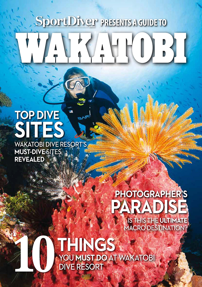 Wakatobi Dive Guide 2018